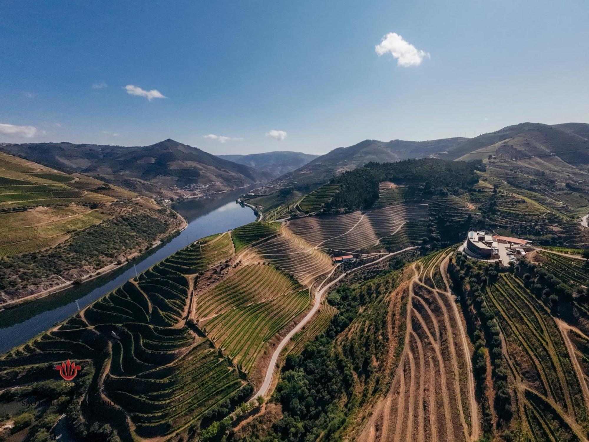 Barrilario Douro Wine Hotel E Spa - Quinta Sao Jose Do Barrilario Armamar Eksteriør billede